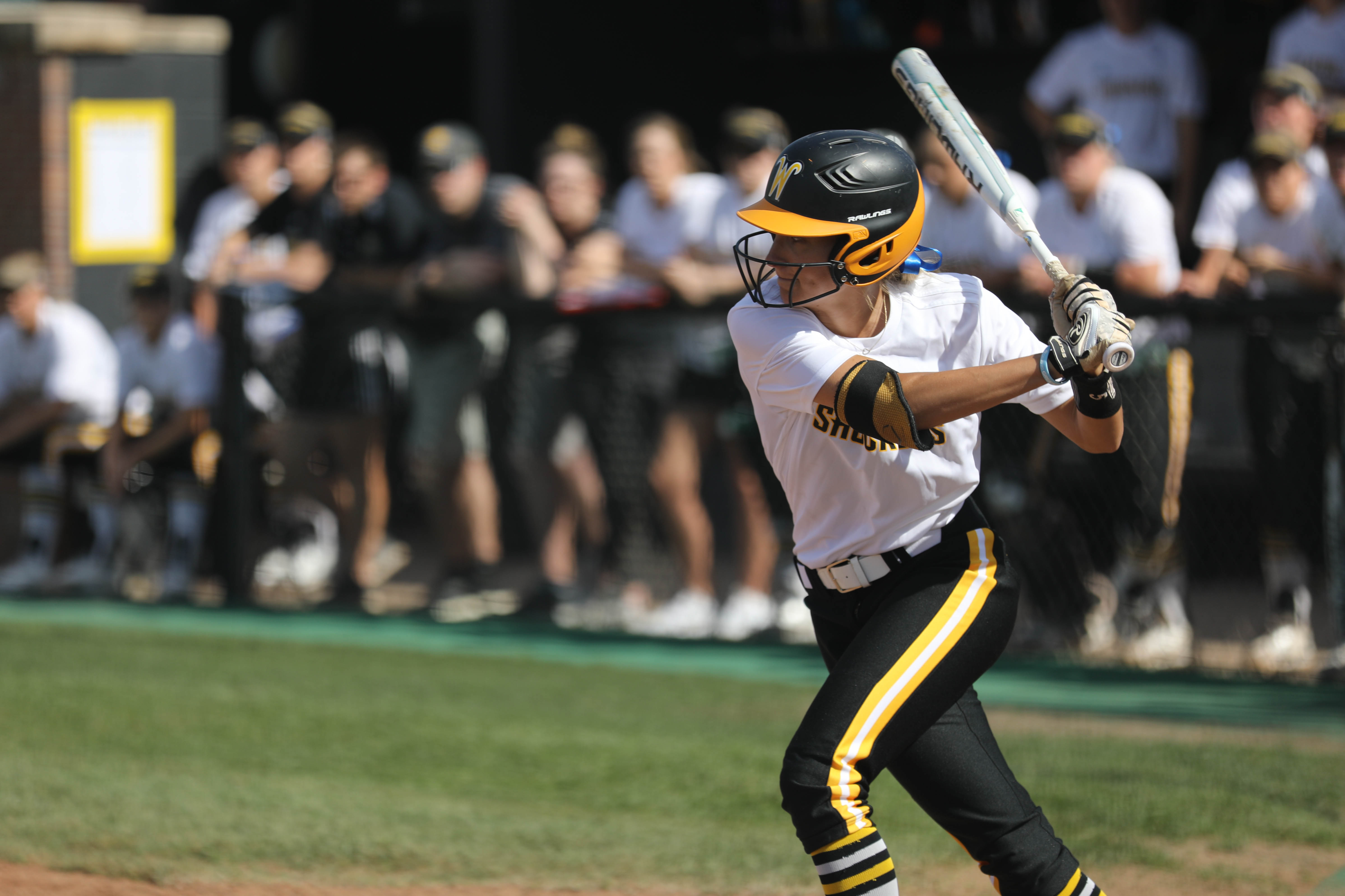 Wichita State senior Ashley Johnson (5) prepares to swing Wednesday against Missouri State. (Apr. 19, 2017)