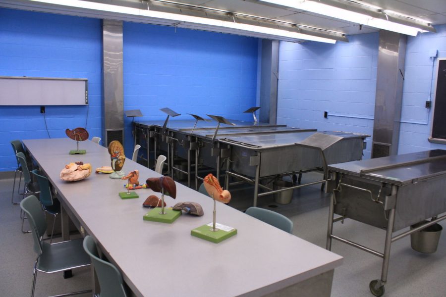 Located on the first floor of Ahlberg Hall is a cadaver lab with 12 cadavers for nursing and other health professions students to practice on. (File photo)
