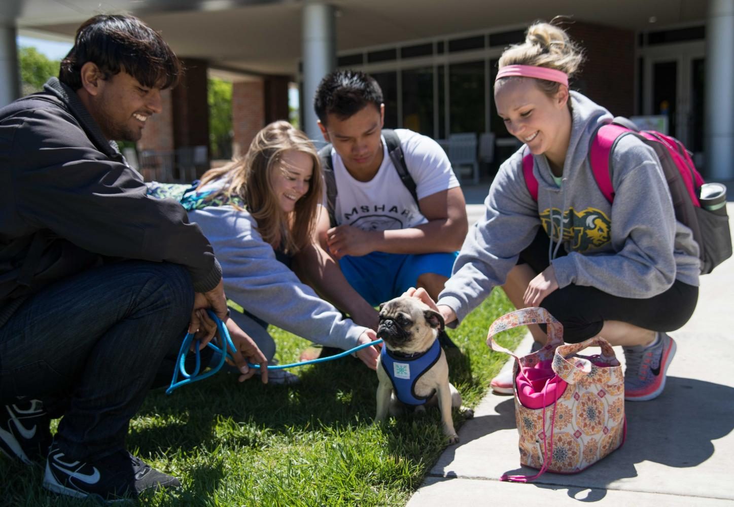 A group of students huddle around a pug during the Pet-A-Pug event held outside the Rhatigan Student Center on Monday from 11-1 p.m. The event is held annually during the spring semester to help students relieve stress before finals. (May 1, 2017)