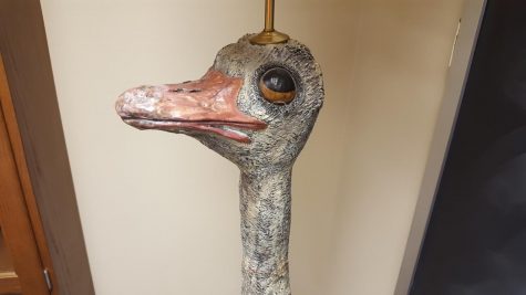 Leroy the Ostrich Lamp poses for a close-up shot of his face. He made sure the photo was taken from his favorite angle.