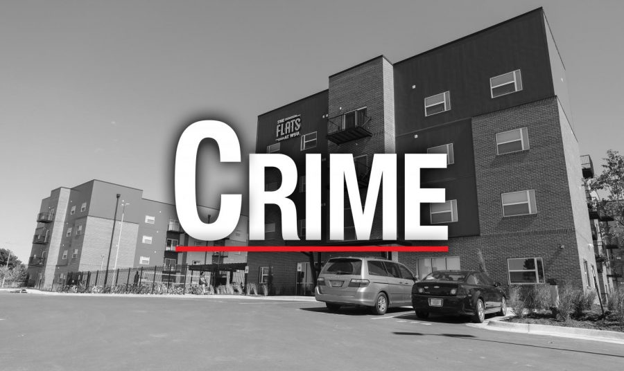 Here are some of Februarys eye-catching crime log entries