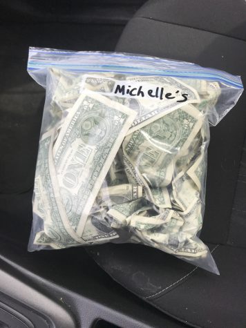 Money in a online ziplock bag