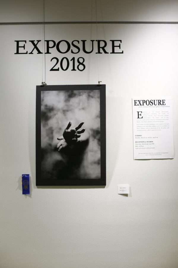 Derek Hildebrant won Best of Show at the Exposure Photography Awards on Thursday for his digital photo entitled Basic Instinct.