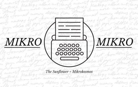 Mikro Mikro