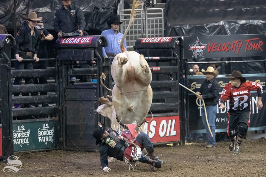Ricky Aguiar ducks under the bull Squeeze Box during the first round of the PBR Pendleton Whisky Velocity Tour on April 13, 2019 at INTRUST Bank Arena. (Photo by Joseph Barringhaus/The Sunflower).