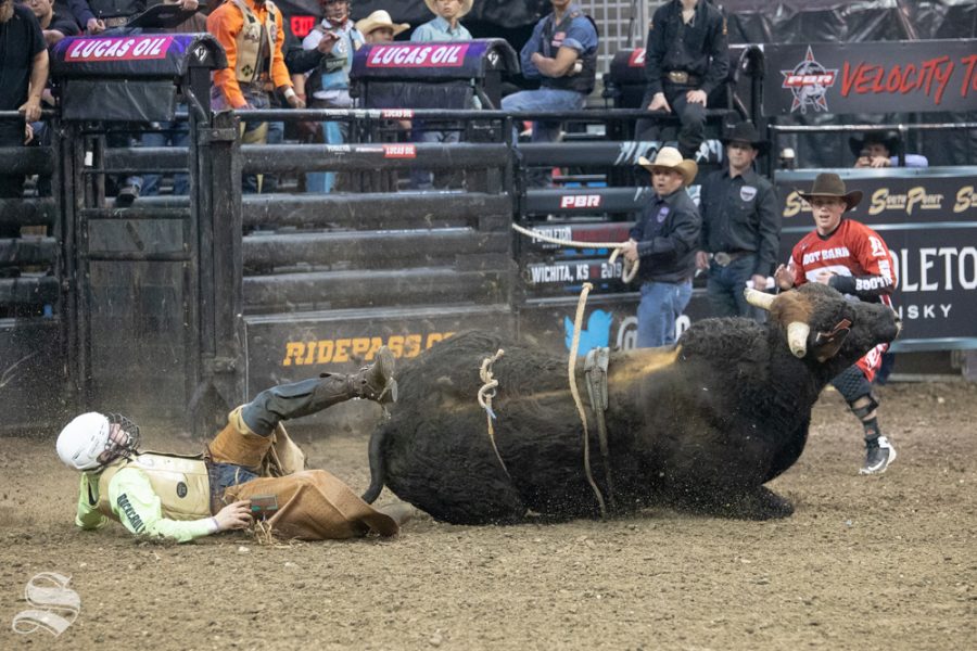 Weston Hartman and the bull he rode Chiseled both go down during the first round of the PBR Pendleton Whisky Velocity Tour on April 13, 2019 at INTRUST Bank Arena. (Photo by Joseph Barringhaus/The Sunflower).