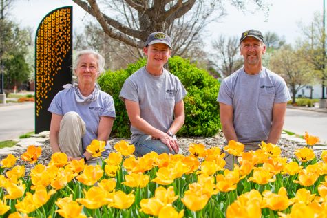 WSU’s springtime gardens are rooted in tulips