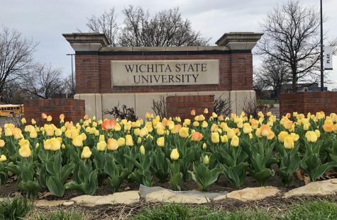 Letter from the Editor: The Sunflower’s COVID-19 response