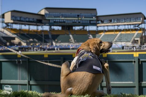 PHOTOS: Barking UCF home