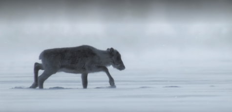 Darr: ‘Our Planet’ weaponizes natural beauty against natural destruction