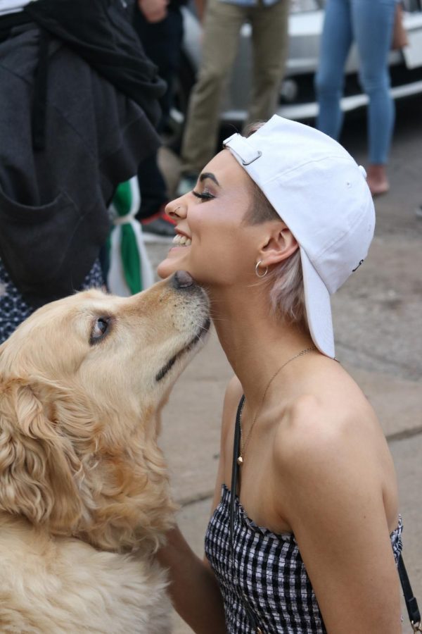 Hunter Gromala receives puppy kisses at Jenny Woodstock on Saturday, May 25 at The Back Beat.