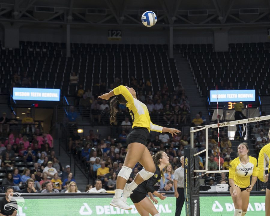 Wichita State freshman Sina Uluave goes up for a kill during the exhibition game against KU on August 17 at Koch Arena.