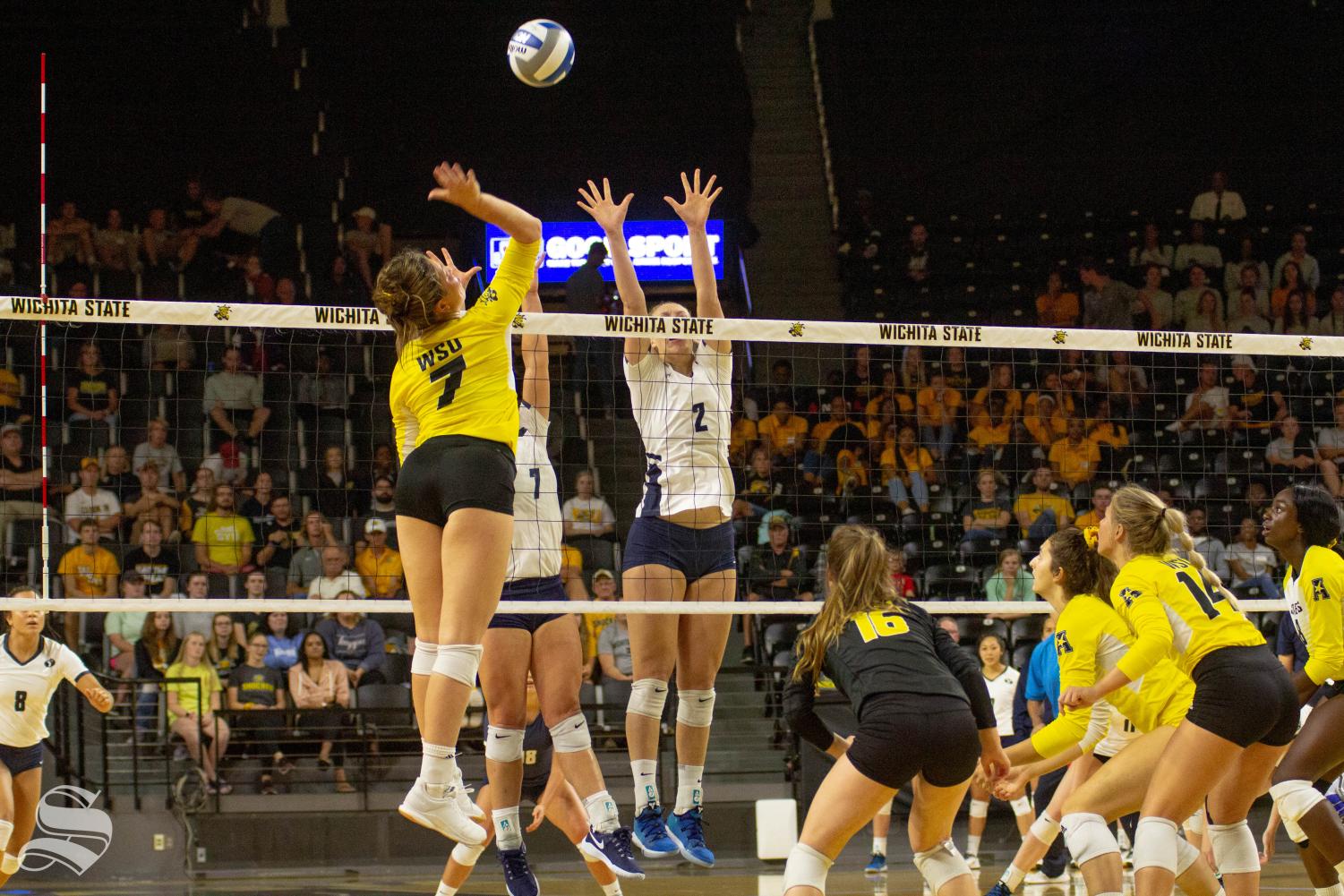 Wichita+State+freshman+Nicole+Anderson+goes+up+for+a+kill+during+WSU%27s+home+opener+against+BYU.