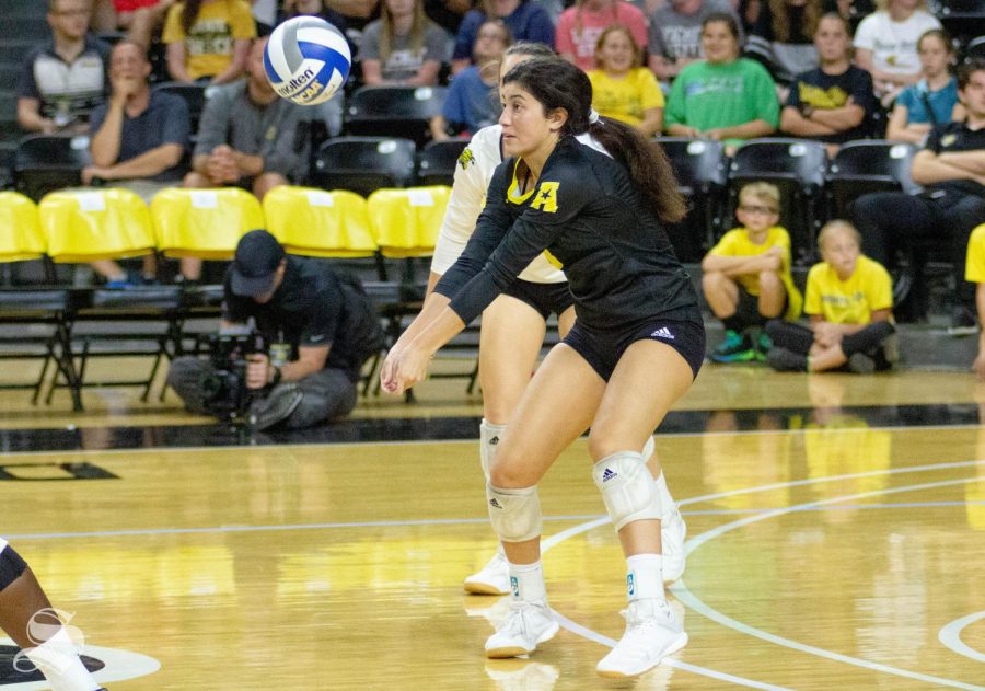 Wichita State freshman Arianna Arjomand hits the ball against Texas on Sept. 14 inside Charles Koch Arena.