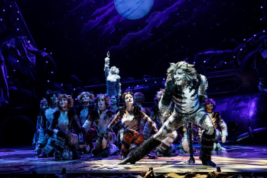 Dan Hoy as Munkustrap and the North American Tour of CATS.