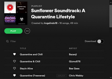 Screenshot of the playlist on Spotify.
