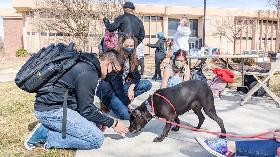 Students stop outside the Rhatigan Student Center Monday Feb. 21 to pet dogs at the Graduate Student Council event Puppy Days 