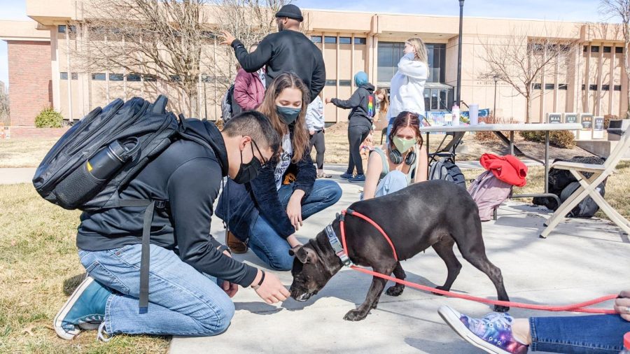 Students+stop+outside+the+Rhatigan+Student+Center+Monday+Feb.+21+to+pet+dogs+at+the+Graduate+Student+Council+event+Puppy+Days+