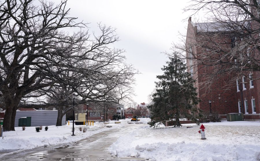 Snow day at WSU.