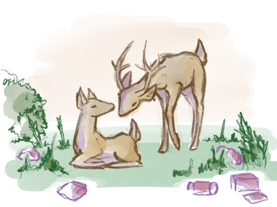 Deer_Sustainability_Illustration_