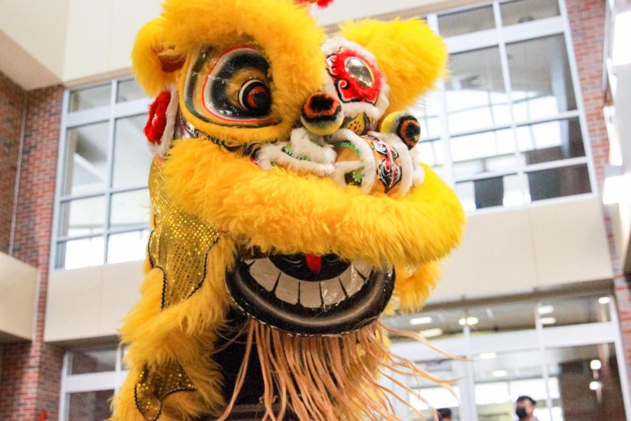 St. Anthonys Lion and Dragon Dance team performs at the Lunar New Year: Year of The Tiger Celebration on Tuesday, Feb. 1st, 2022.