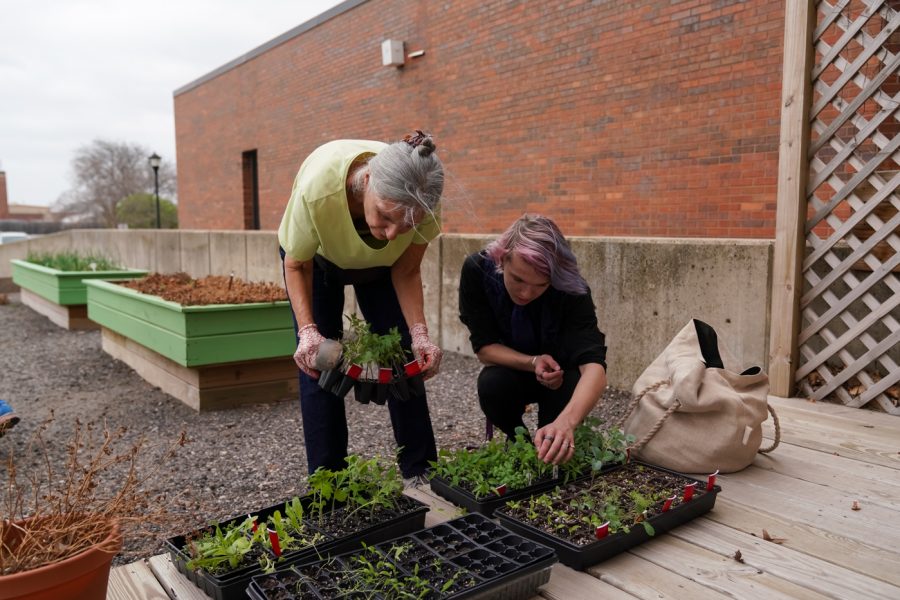 Linda Farha and Joshua Mallard planting at the Community Garden Event on April 22, 2022.