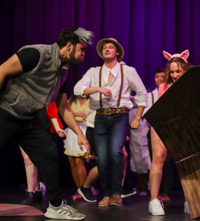 Kappa Kappa Gamma and Phi Delta Theta presents The Bad Wolf during the Hippodrome set up by Student Activities Council on April 8.