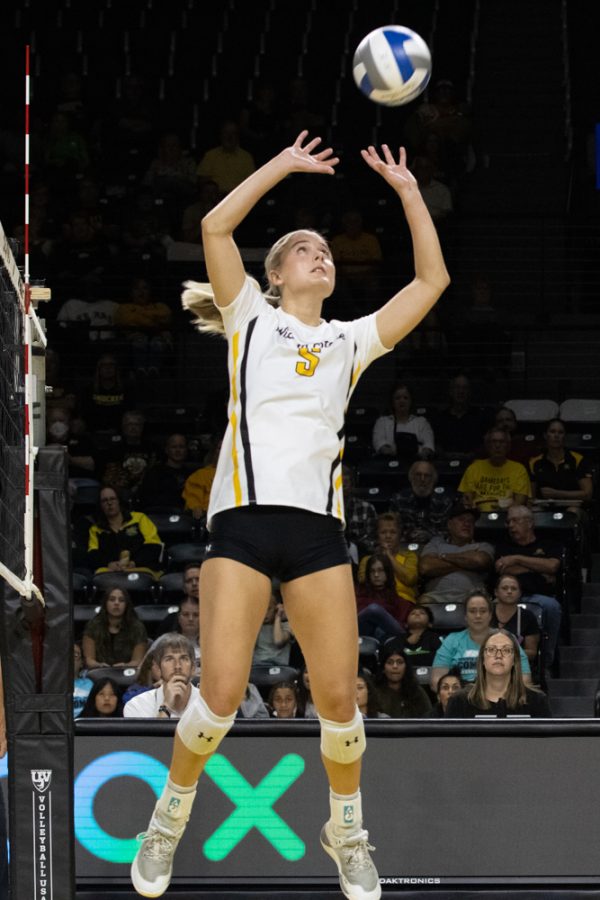 Junior Kayce Litzau gets ready to set the ball against Temple on Sep. 23 in Charles Koch Arena. Litzau completed the night with 28 assists.