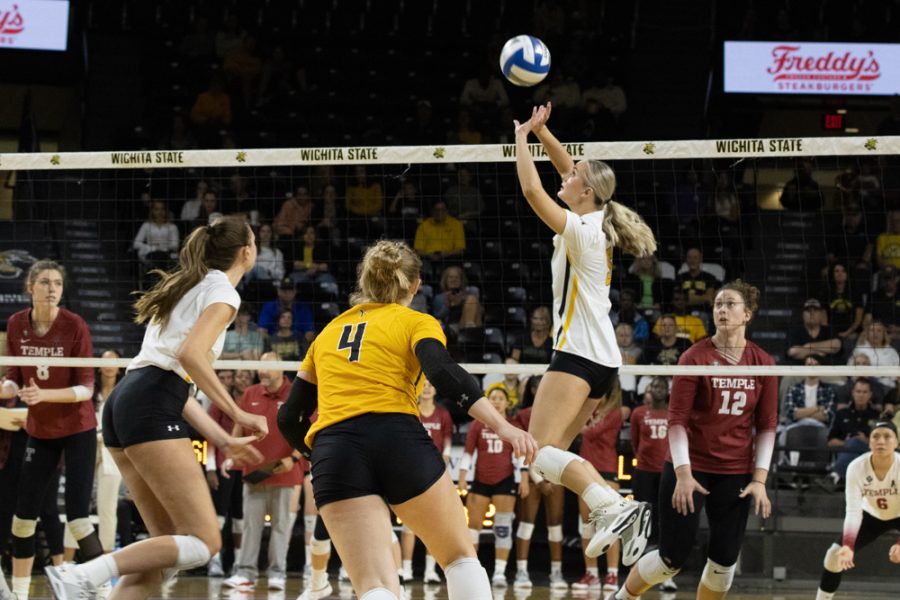 Junior Kayce Litzau gets ready to set the ball to Morgan Stout against Temple on Sep. 23 in Charles Koch Arena. Litzau completed the night with 28 assists.