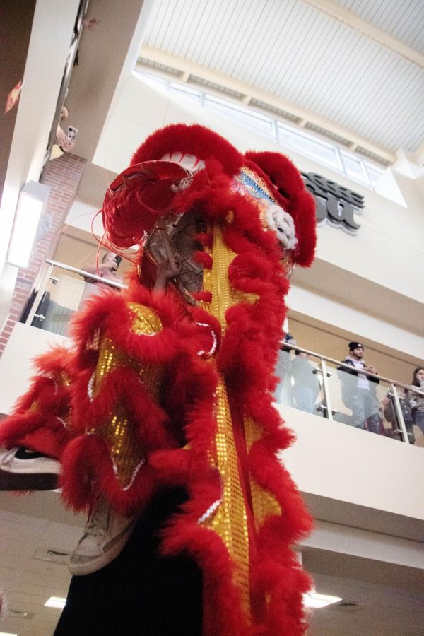 St. Anthony’s Lion Dance Team performs at the Lunar News Year: Year of the Rabbit event on Jan. 23. Lunar New Year is celebrated in many countries, such as China, Hong Kong, Vietnam, Taiwan and South Korea.