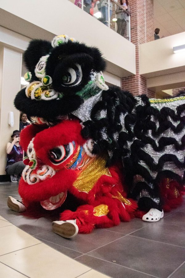 St. Anthony’s Lion Dance Team performs at the Lunar New Year: Year of the Rabbit event on Jan. 23. Lunar New Year is celebrated in many countries, such as China, Hong Kong, Vietnam, Taiwan and South Korea.