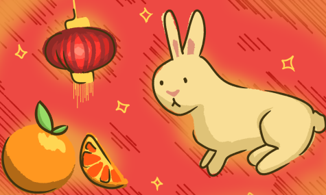 Lunar New Year celebrations include everything from lantern to simply eating good fortune fruit, or certain citrus. Their orange colors represent prosperity and luck. 