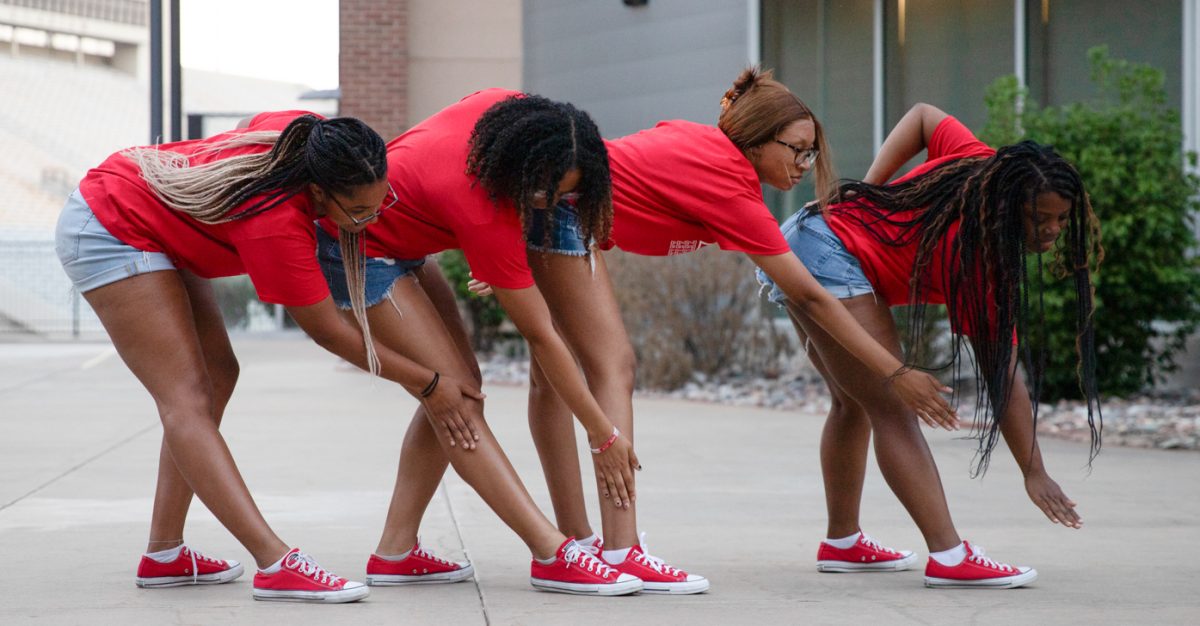 Members of Delta Sigma Theta show off their skills at the National Pan-Hellenic Council Yard Show.