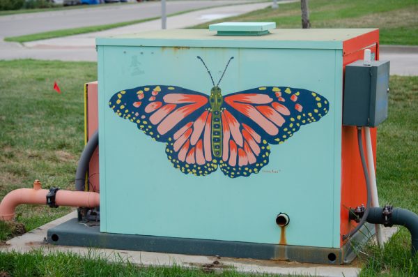 Artist Delilah Reed paints electrical boxes around the Innovation Campus. Reed was hosted by WSUs ShiftSpace as a part of the campuss placemaking project, meant to help create a better sense of comfort and connectivity throughout campus.