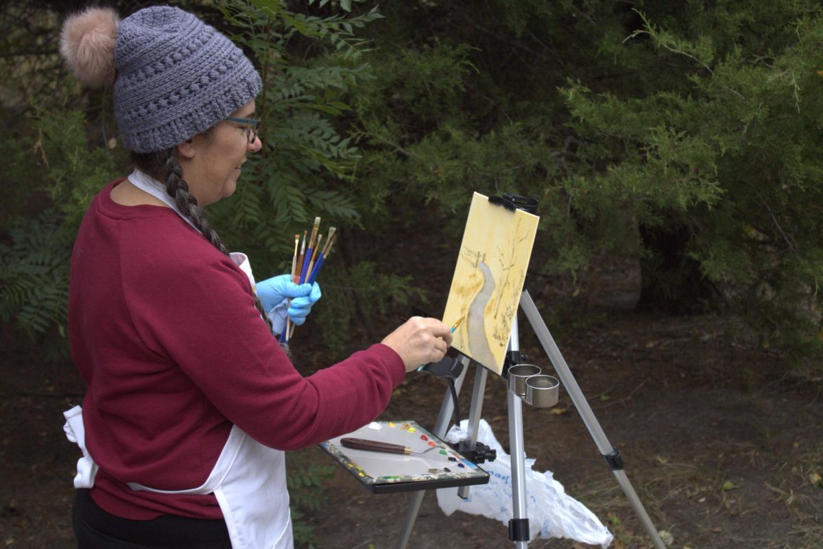 Stephanie Bayliff paints on the trail with her mediums of choice: oils or acrylics. Bayliff also spends time in her studio experimenting with a variety of mediums. She teaches workshops at the Carriage Factory Art Gallery.