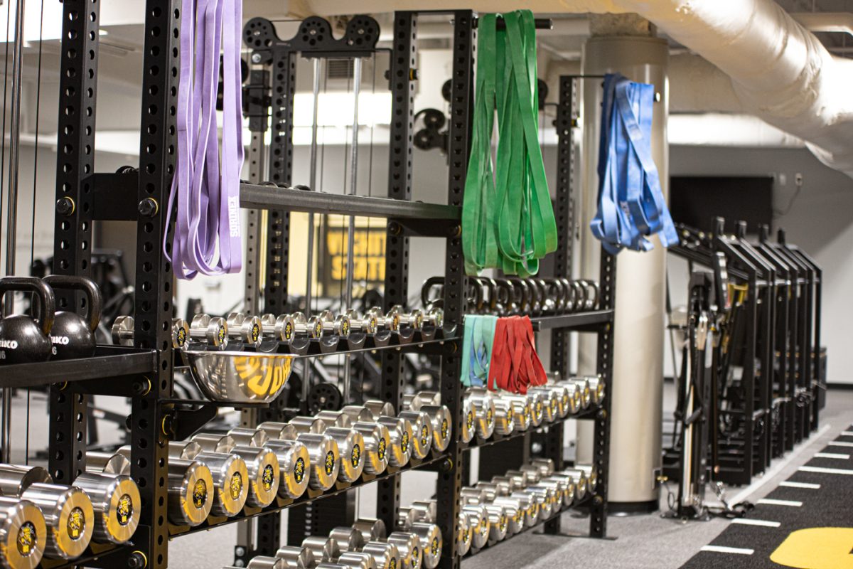 WSU athletes have access to all sorts of equipment in the new Fred VanVleet Sports Performance Center in Charles Koch Arena.
