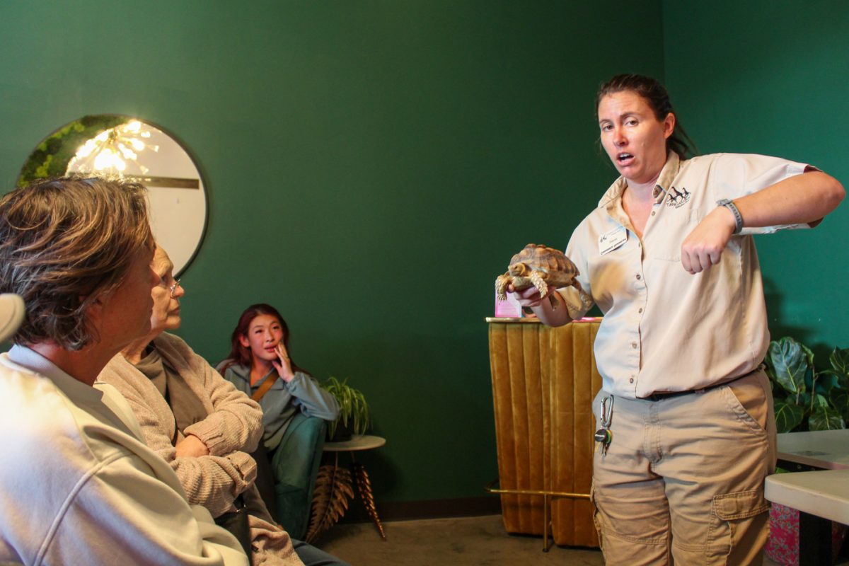 GROW Giesen Plant Shop worked alongside Tanganyika Wildife Park to bring Stacey to give informational sessions with animal ambassadors on Nov. 5. Here, she holds Benjamin the Tortoise. 