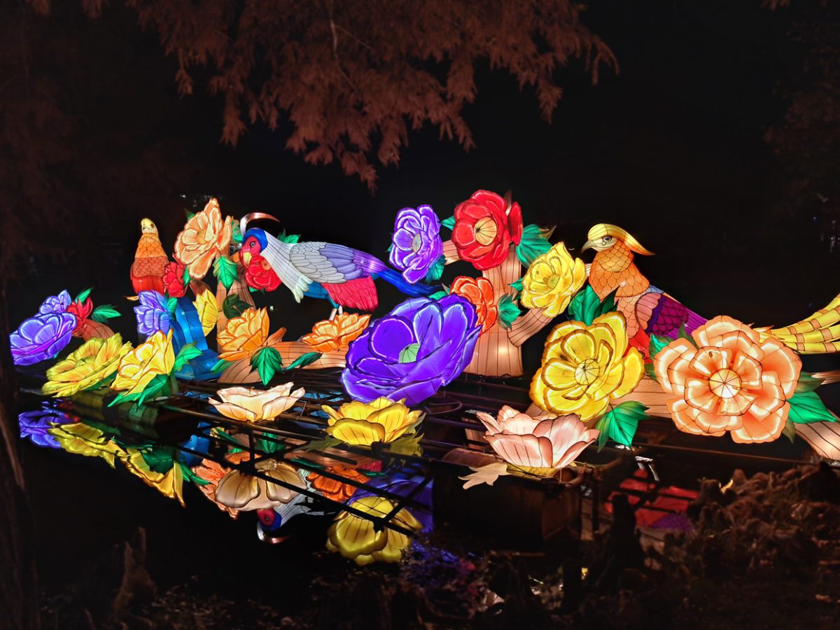 The entrance of Sedgwick County Zoo lit up with the Wild Lights showing on Nov. 11. Asian Lantern sculptures following the story of Alice in Wonderland are being displayed throughout the zoo during the night of Oct. 11 to Dec. 17, 2023.