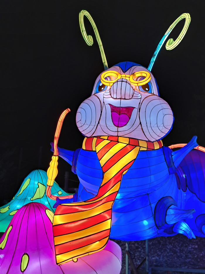 The hookah-smoking caterpilar from Alice in Wonderland is displayed at the Wild Lights show put on by Sedgwick County Zoo on Nov. 11. The zoo light exhibition follows the Alice in Wonderland theme and the public can attend this special event until Dec. 17.