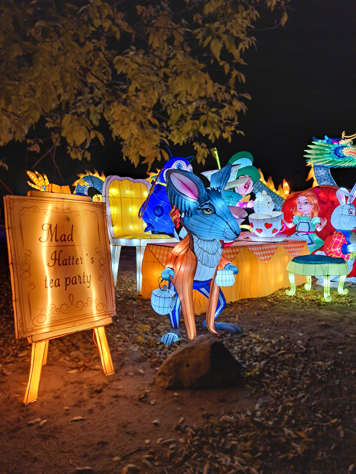 At the Wild Lights displays at Sedgwick County Zoo, the Mad Hatters tea party is shown in the theme of Alice in Wonderland on Nov. 11. This is an annual and limited event put on by the zoo each year, displaying Asian lantern sculptures that follow a theme.