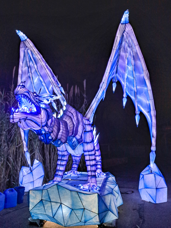 A dragon on display at the Wild Lights show at Sedgwick County Zoo on Nov. 11. 
