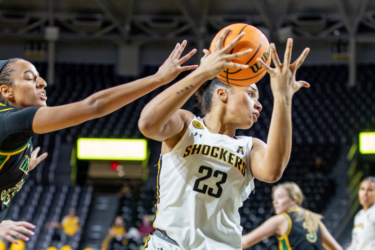 Daniela Abies tries to maintain possession of the ball in the fourth quarter of the womens basketball game against Missouri Southern State on Nov. 1.