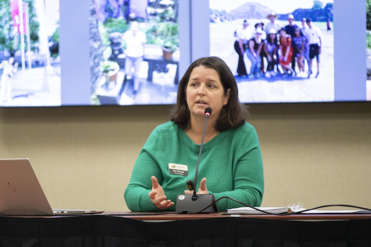 Ann Burger, associate director for Study Abroad and exchange programs at Wichita State, speaks to the Student Fees Committee on March 4.