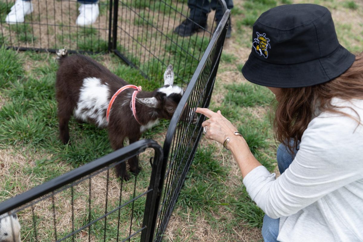 An attendee plays with a goat at the petting zoo available at the event celebrating Cinco De Mayo and the Duerksen amphitheater mural unveiling on May 3. The event featured various food trucks, a petting zoo, an inflatable obstacle course and Mariachi and Folklorico performances.