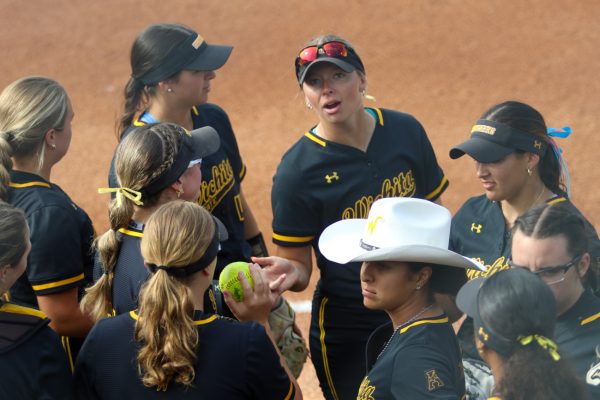 Wichita State softball team talks in between innings against Memphis. WSU beat Memphis three days in a row for a sweep.