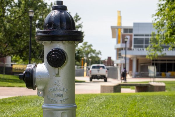 A newly painted fire hydrant outside of the Rhatigan Student Center reflects light from the afternoon sun. The hydrants were recently repainted to prevent rust.