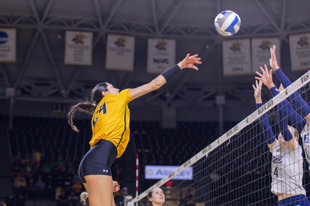 Alyssa Gonzales hits the ball past the Rice blockers on Oct. 6. Gonzales, a redshirt freshman, scored 13 kills during the game.