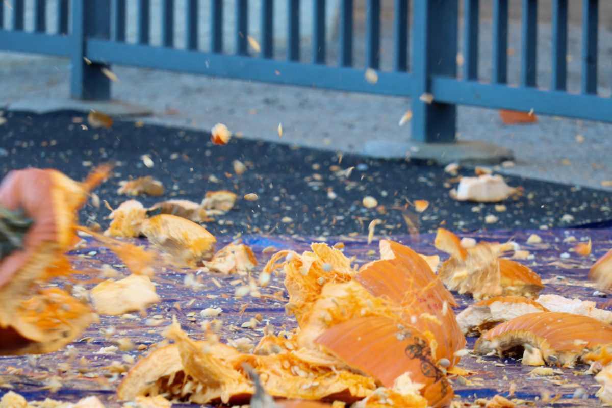 A pumpkin exploding as it's drop from atop Cessna Stadium.