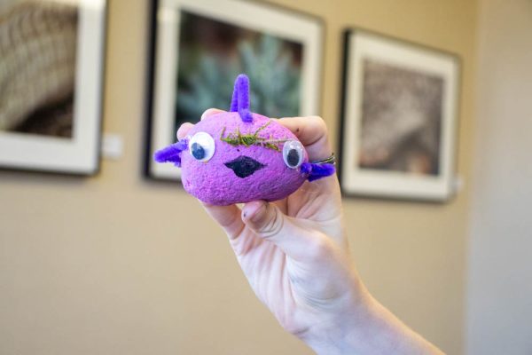 Adonis Morgan holds up their newly-created pet rock created at the Geology Club's "Pet Rocks for Stressed Shocks" event. Morgan said the pet rock was a fish with a curly mustache.