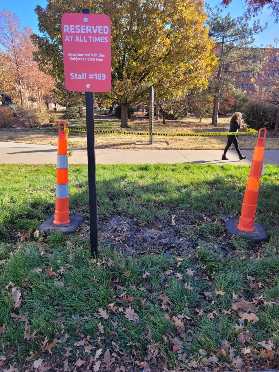 The location on campus where Neshia Greene said she fell into a muddy hole in December. (Photo courtesy of Neshia Greene)